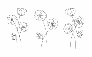 Poppy flower in line style. Modern line art for poster and banner
