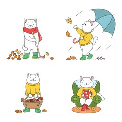 Collection of cute kittens enjoying fall season. Autumn illustrations of funny white cats walking with umbrella, drinking hot beverage, picking mushrooms and raking leaves. 