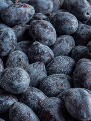 Background of fresh ripe blue plums with water drops. Vertical photo.