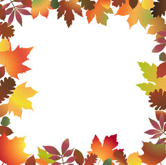 fall colored leaves frame background