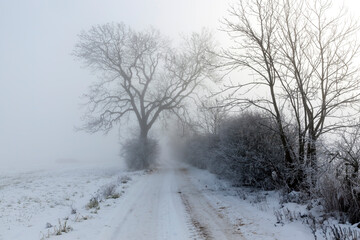 Obraz na płótnie Canvas a road covered with snow in winter