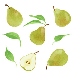 洋梨の手描きイラスト