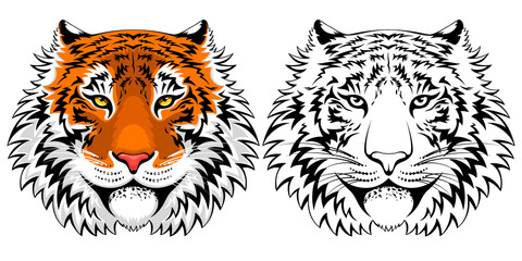 Adult calm tiger face. Colorful and monocolor graphic. Vector illustration.