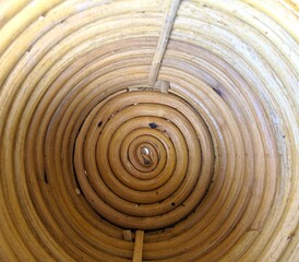 Beautifull spiral wooden texsture