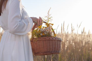 A woman holds a wooden basket with herbs in her hand. Place for text, copy-space