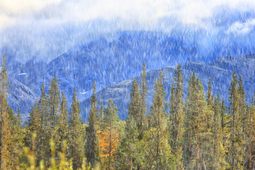 autumn forest mountains panorama, landscape trees, nature yellow season