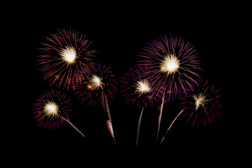 Fototapeta premium Fireworks of various colors bursting against a black background