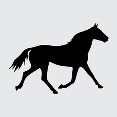 Fototapeta na wymiar Horse Silhouette, Horse Isolated On White Background