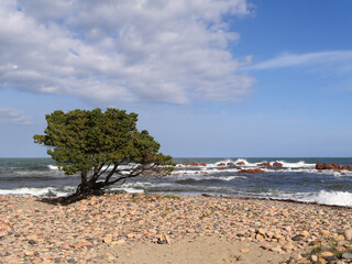 Der Strand La Spiaggetta an der Westküste von Sardinien bei Cardedu - 455225335