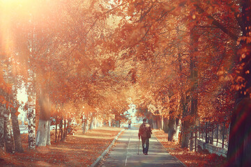 alley in autumn park landscape, fall yellow road seasonal landscape in october in the city