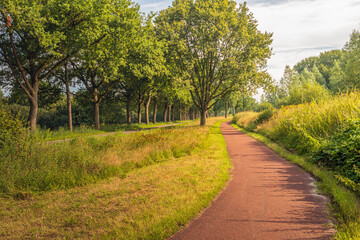 Fototapeta na wymiar Red colored asphalt bike path winding through a natural environment in the Netherlands. It is early in the morning of a sunny day in summertime.