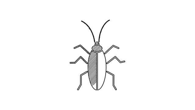 Black line Cockroach icon isolated on white background. 4K Video motion graphic animation