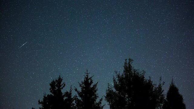 4k night Timelapse with starry sky over forest. Panning motion time lapse.