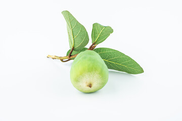 Jelly fruit on white background