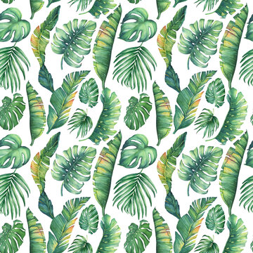 Seamless pattern with green tropical of Monstera Deliciosa, banana and palm leaves. Watercolor hand drawn painting illustration isolated on a white background.