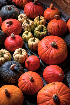 many pumpkins