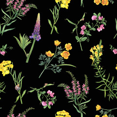 Seamless floral pattern with yellow linaria vulgaris, Cheiranthus cheiri, eschscholzia, pink mouse peas, lupin, Ivan Chai flowers. Watercolor painting illustration isolated on black background