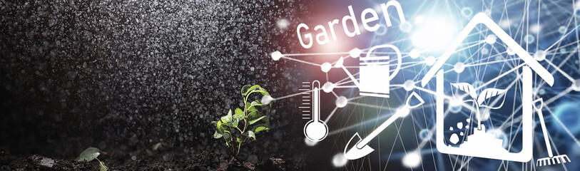 Green sprout on the ground. Spring concept. Seedlings in the ground. Updating nature is an idea. Hands plant a sprout in the ground.