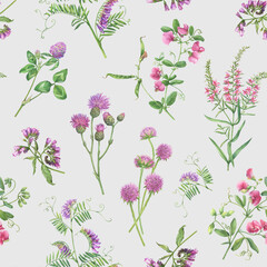 Seamless floral pattern with clover, mouse pea, comfrey, vetch, thistle, scabiosa flowers. Pink wildflower wallpaper. Botanical meadow summer textile pattern. Watercolor illustration isolated on gray