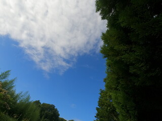 Obraz premium DCIM\100GOPRO\GOPR0038.JPG