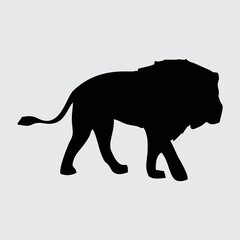 Lion Silhouette, Lion Isolated On White Background