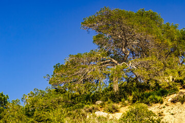 Spanish rocky nature