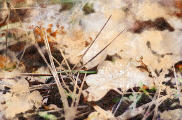 Fallen oak leaves with raindrops. Brown leaves lying on the ground in an autumn park. Digital watercolor painting. Contemporary Art.