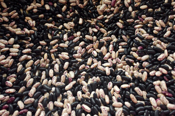 black and patterned kidney beans. (Delicious mottled, raw common beans)