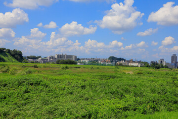 Fototapeta premium landscape of region