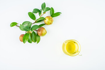 Camellia fruit and tea seed oil on white background