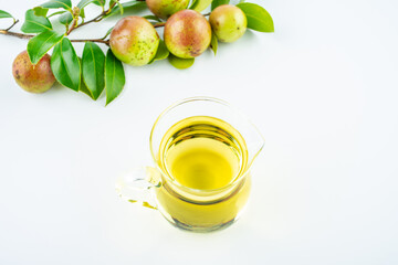 Camellia fruit and tea seed oil on white background