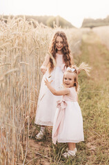 Fototapeta na wymiar Two little girls collect spikelets in a wheat field