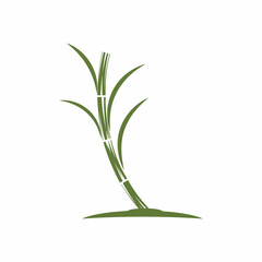 Sugar cane Logo Template vector symbol nature