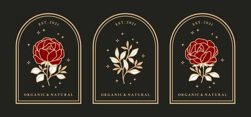 Vintage hand drawn feminine beauty rose flower logo elements with frame