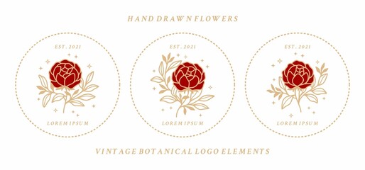Set of vintage feminine beauty peony floral logo elements with frame