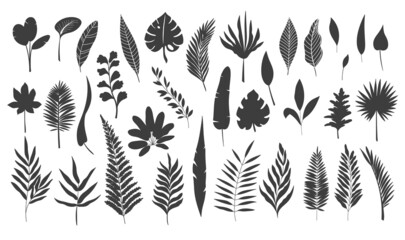 Silhouettes tropical leaves. Monochrome glyph forest palm monstera fern hawaiian leaves. Set tropical elements vector illustration. - obrazy, fototapety, plakaty
