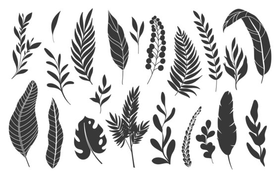 Silhouettes tropical leaves. Monochrome glyph forest palm monstera fern hawaiian leaves. Set tropical elements vector illustration.