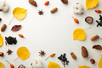 Autumn composition. Dried leaves, flowers, berries on white background. Thanksgiving day concept. Flat lay, top view, copy space