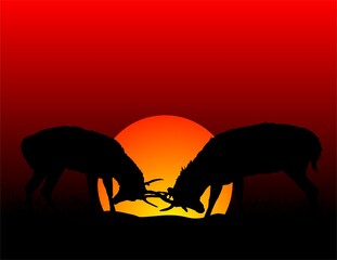 Silhouette of  Deer in the Sunset