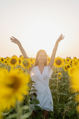 Naklejka na ściany i meble young beautiful woman between sunflowers in sunset