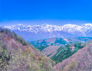 長野県　 白馬村　早春の北アルプス山脈