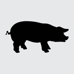 Pig Silhouette, Pig Isolated On White Background