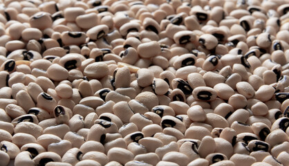Black and white beans background. Texture. Selective focus.