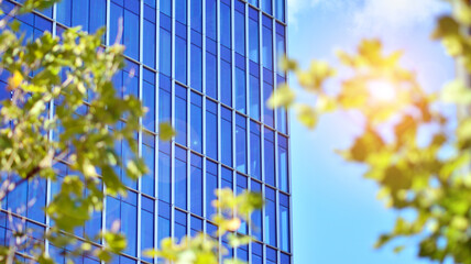 Eco architecture. Green tree and glass office building. The harmony of nature and modernity. Reflection of modern commercial building on glass with sunlight. 