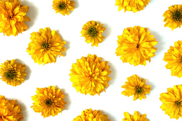 Abstract yellow flower background for your design. Natural textured. Top view. Autumn, summer concept. Pattern