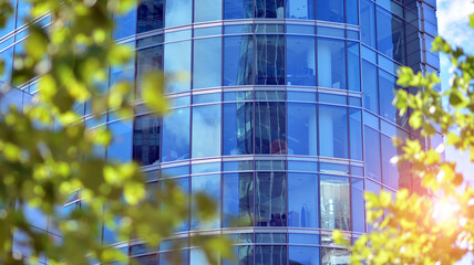 Eco architecture. Green tree and glass office building. The harmony of nature and modernity. Reflection of modern commercial building on glass with sunlight. 