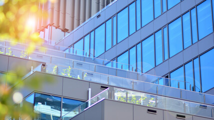 Fototapeta premium Eco architecture. Green tree and glass office building. The harmony of nature and modernity. Reflection of modern commercial building on glass with sunlight. 