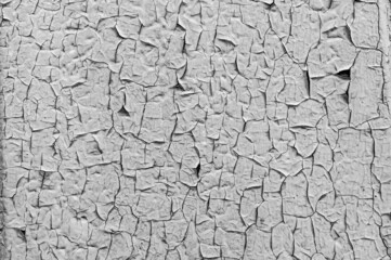 texture of the old wall