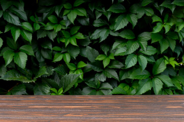 Wooden table and background with green leaves . Brown podium for product presentation. Ecology...