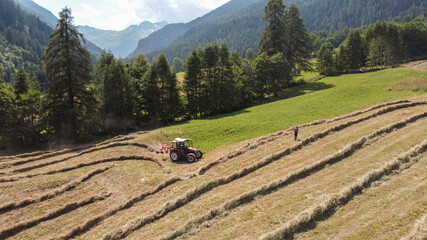 trattore campo fieno raccolta fieno agricoltura agricolo 